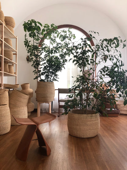 Lots of hand crafted, natural colored, storage baskets for plants.