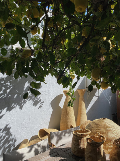 Woven baskets and sculptures in a garden.